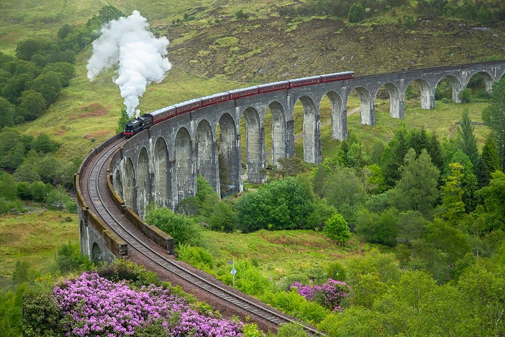 Scotland The Jacobite Train on elevated track art print by Jaynes Gallery for $57.95 CAD